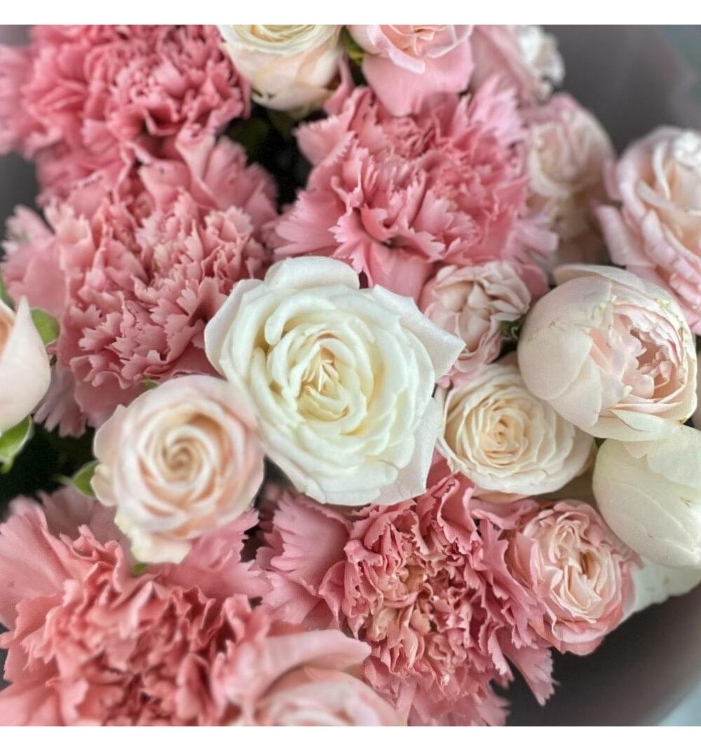 Роза кустовая пионовидная с диантусом